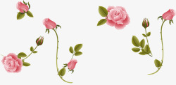 粉色玫瑰元旦背景素材
