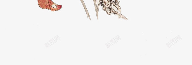 树枝上的喜鹊png免抠素材_88icon https://88icon.com 喜鹊 小鸟 手绘树枝 树叶