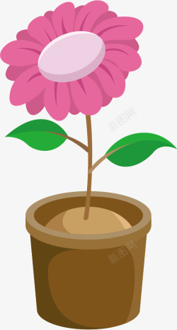 粉色花朵盆栽素材