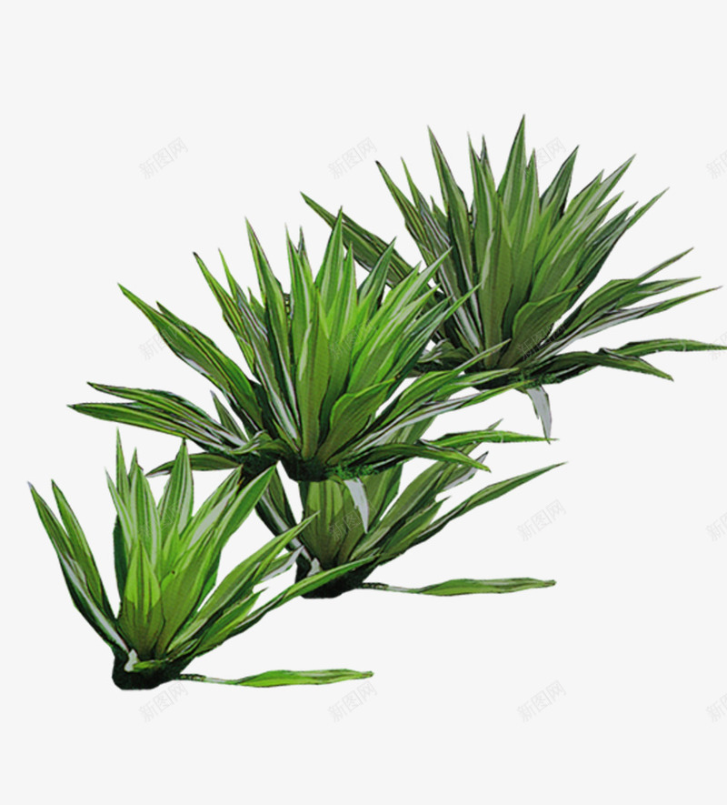 绿色植物psd免抠素材_88icon https://88icon.com 多浆植物 多浆草 植物 泥土 盆景 盆栽 绿植 绿色植物