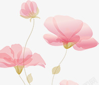 手绘粉色花卉新年贺卡素材