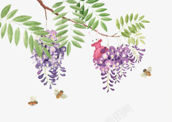 紫藤花与蜜蜂素材