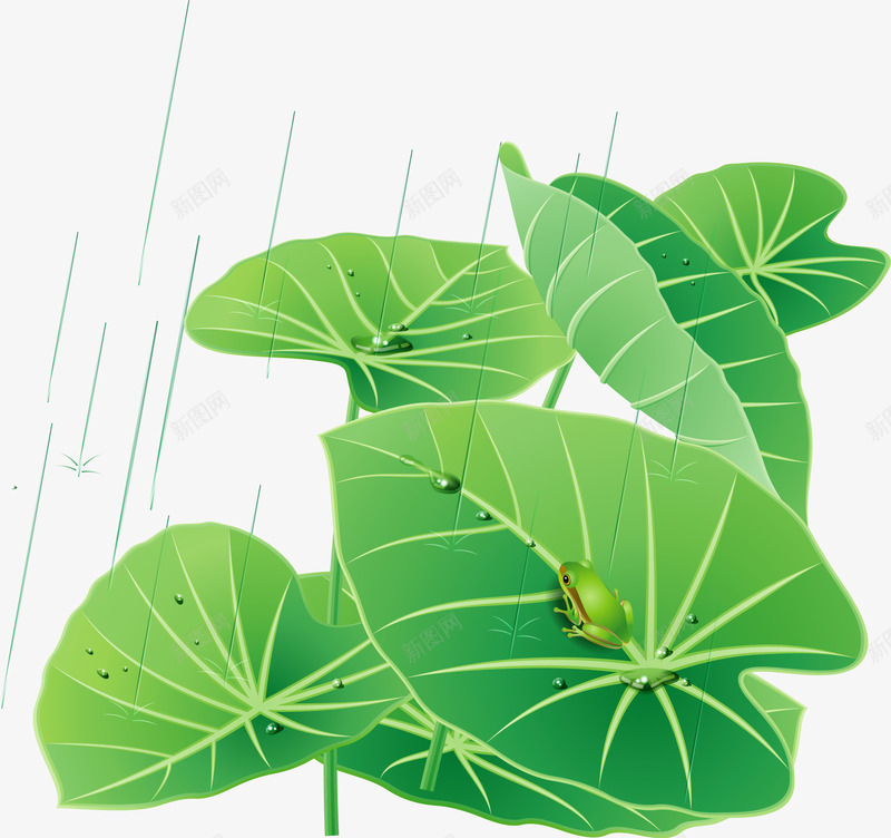 夏日装饰插画荷叶雨中青蛙png免抠素材_88icon https://88icon.com 下雨 夏日 手绘 插画 荷叶 装饰插图 青蛙