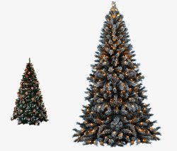 圣诞大树冬季雪树树枝大树高清图片