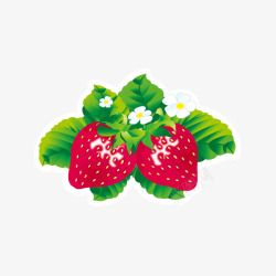 草莓和叶子矢量图素材
