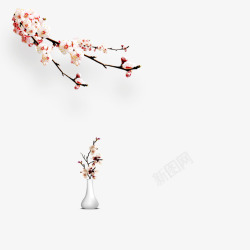 粉色的杏花中国风杏花花瓶插画高清图片