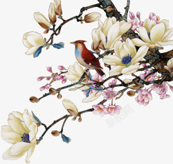 手绘中国风花朵小鸟装饰素材