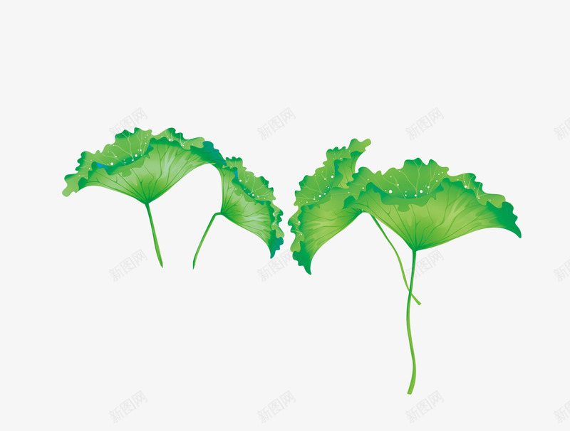 绿色手绘荷叶装饰图案png免抠素材_88icon https://88icon.com 免抠PNG 手绘 绿色 荷叶 装饰图案