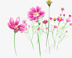 水彩画花卉卡片素材
