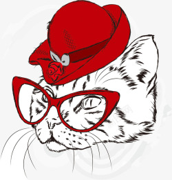冷酷的戴红帽子的冷酷猫咪高清图片