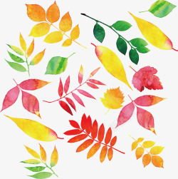 彩色水彩秋天落叶素材
