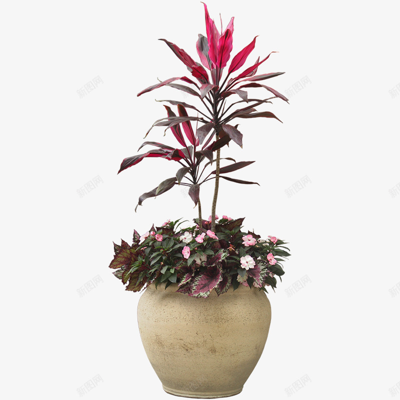 室内植物盆栽png免抠素材_88icon https://88icon.com png 室内 摆件 植物 盆栽 花卉