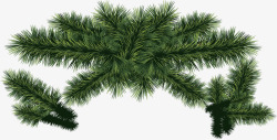 创意圣诞节元素绿色植物素材