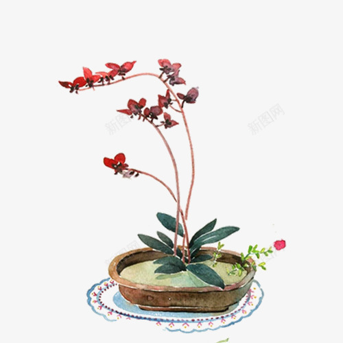 盆栽png免抠素材_88icon https://88icon.com 室内植物 盆景 花卉 花朵 花盆