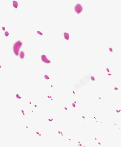 紫色的花瓣效果合成模糊素材