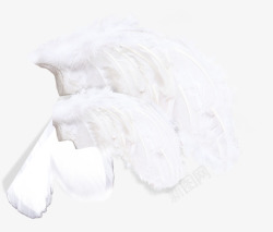创意合成白色的羽毛形状素材