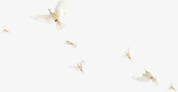 白色飞翔鸽子装饰素材