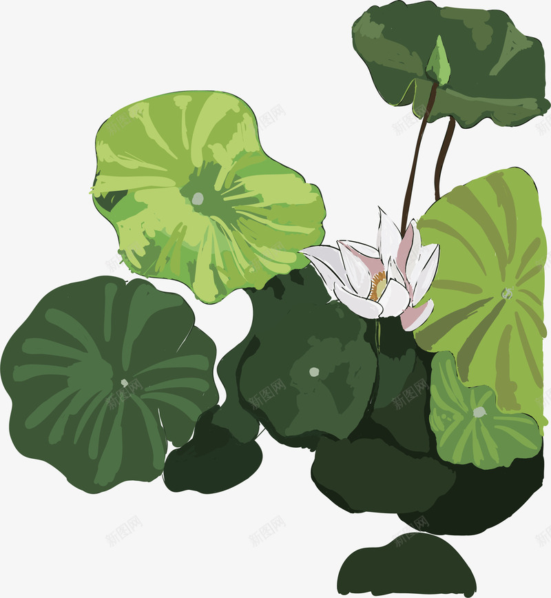 卡通端午节荷叶装饰插画png免抠素材_88icon https://88icon.com 中国风 卡通 插画 清新绿色 端午节荷叶 简约 荷塘