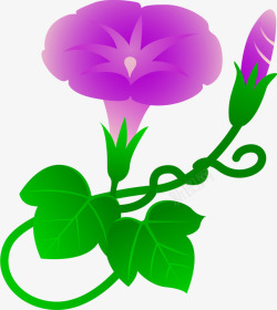 紫色卡通喇叭花花藤素材