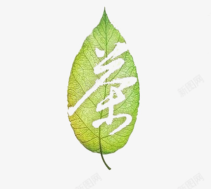 茶叶艺术png免抠素材_88icon https://88icon.com 中国风 叶 绿叶 艺术 茶 茶艺 设计