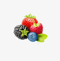 莓类水果素材
