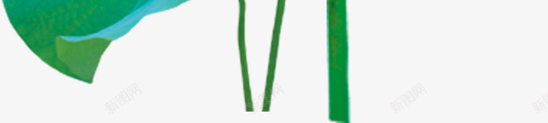 新鲜水彩荷花荷叶png免抠素材_88icon https://88icon.com 新鲜 水彩 荷叶 荷花