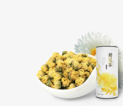 黄色菊花茶胎菊素材