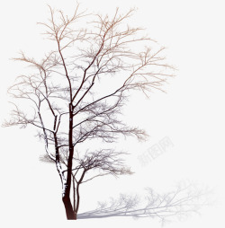雪花大树手绘冬季白色大树雪花高清图片