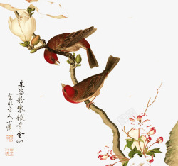 花鸟插图中国风手绘花鸟高清图片