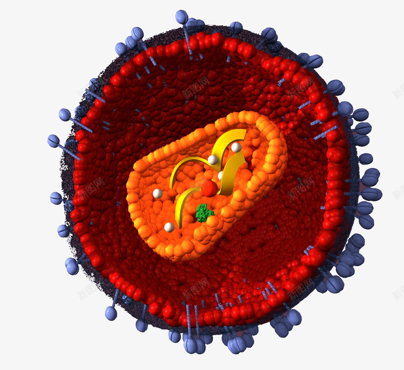 细菌病毒png免抠素材_88icon https://88icon.com 医疗 微生物 感染 病毒