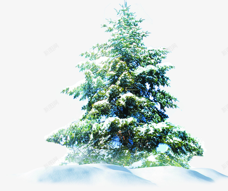 冬季圣诞树邀请卡背景png免抠素材_88icon https://88icon.com 冬季 圣诞树 背景 邀请