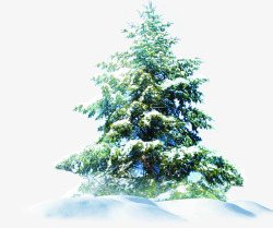 冬季圣诞树邀请卡背景素材
