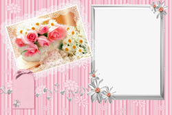 蕾丝花卉甜美玫瑰合影框高清图片