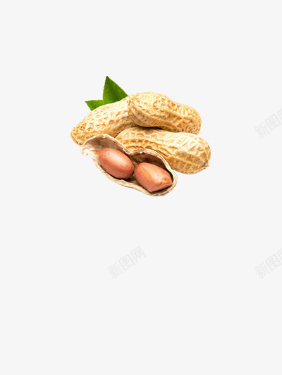 花生png免抠素材_88icon https://88icon.com 休闲零食 红皮花生 花生壳 花生米 食物