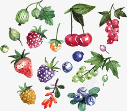 精美的彩绘新鲜水果蔬菜矢量图素材