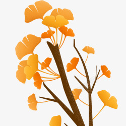 黄色枫叶二十四节气之秋分素材