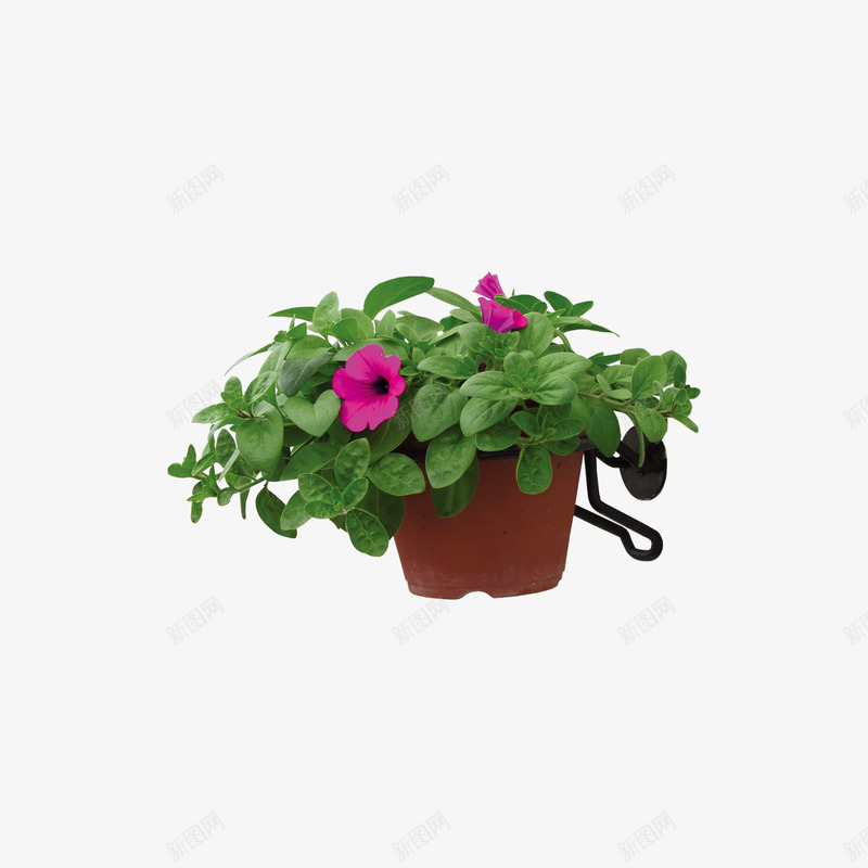 盆栽绿色植被png免抠素材_88icon https://88icon.com 植被 盆栽 绿色 绿色植被 绿色盆栽