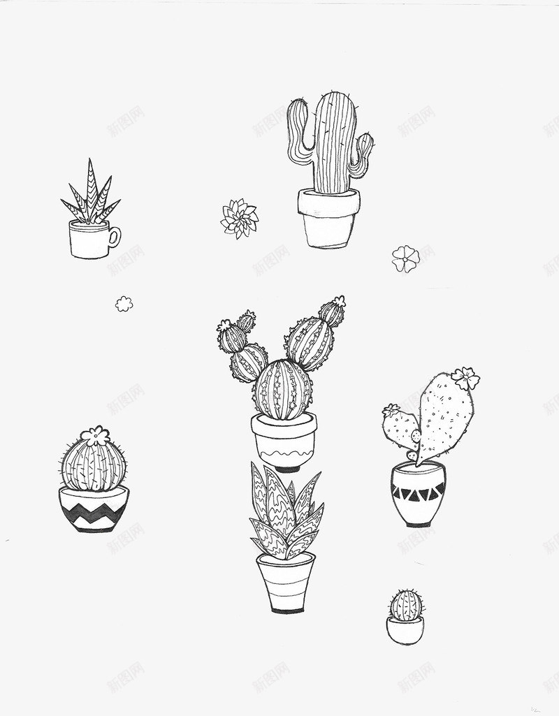 绘画仙人球芦荟图案png免抠素材_88icon https://88icon.com 仙人球 盆栽 芦荟