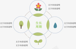 植物生长说明图矢量图素材