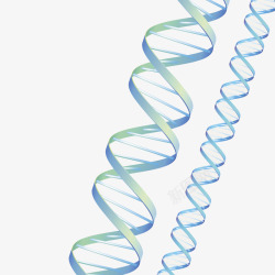 螺旋基因手绘插画螺旋基因立体插画高清图片