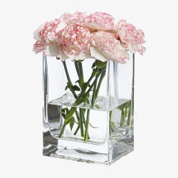 玻璃花瓶粉色花素材