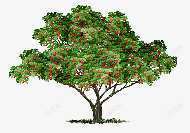 红色水果树手绘png免抠素材_88icon https://88icon.com 水果树 红色水果树 苹果树手绘