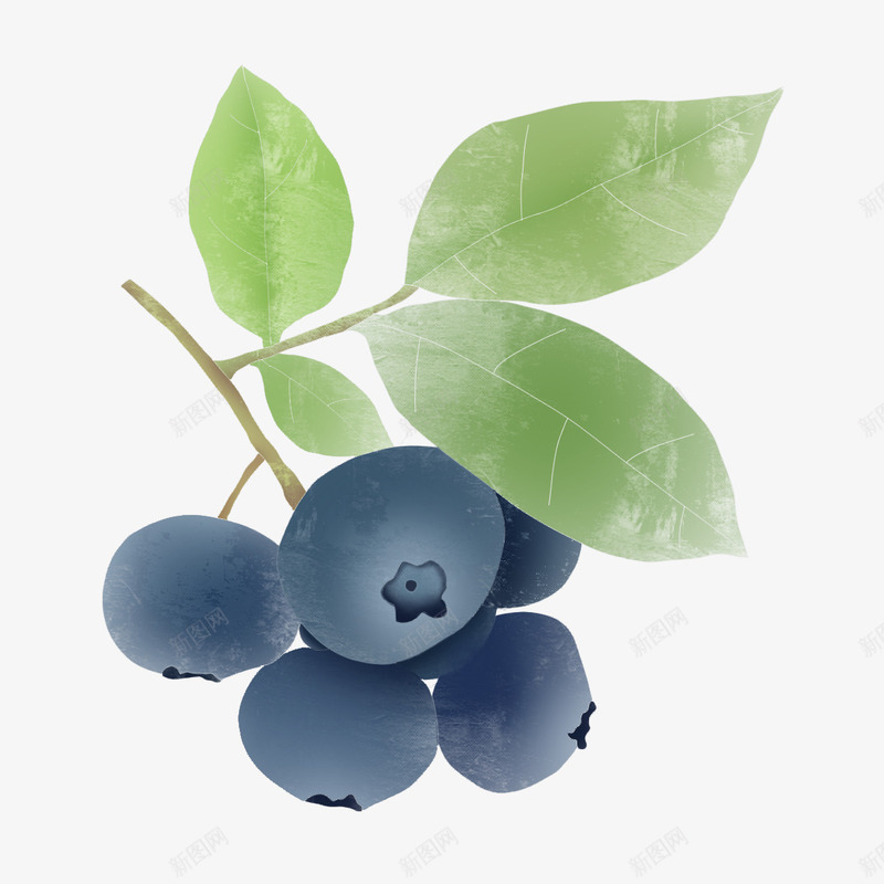 好吃的零食蓝莓水果元素png免抠素材_88icon https://88icon.com 水果 美食 蓝莓 零食