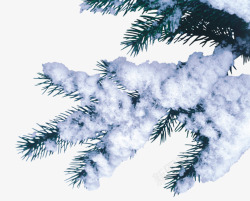 挂满雪的松树枝素材