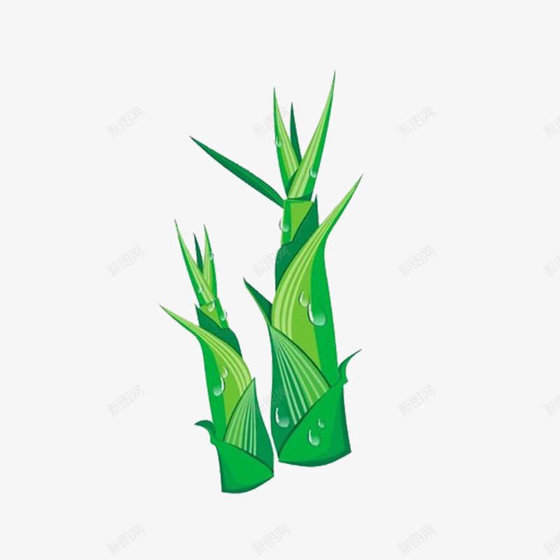 竹笋png免抠素材_88icon https://88icon.com 竹笋 蔬菜