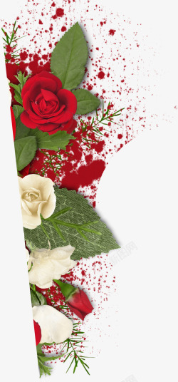 红色高汪玫瑰花卡片素材