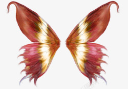 红色斑纹蝴蝶翅膀素材
