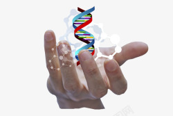DNA科技背景科技在手中高清图片