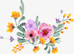 蔷薇画手绘水彩蔷薇花藤高清图片