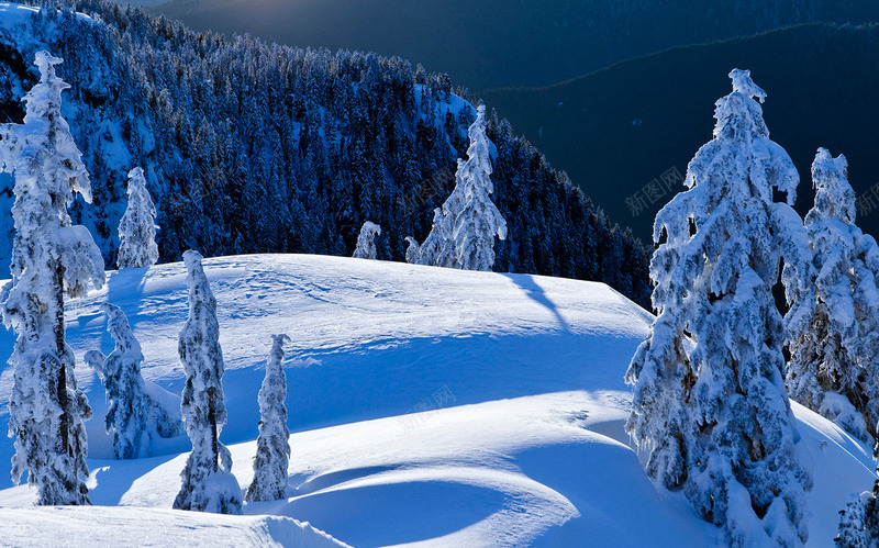 蓝色梦幻雪地风景png免抠素材_88icon https://88icon.com 梦幻 蓝色 雪地 风景